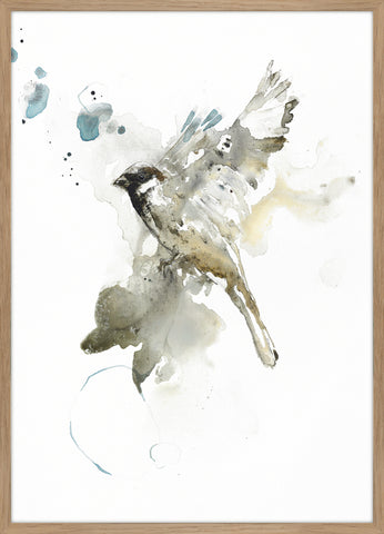 Bird 1 | PLAKAT Outlet ART COPENHAGEN