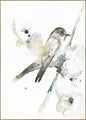 Bird 2 | INDRAMMET BILLEDE
