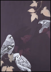 Bird1 | INDRAMMET BILLEDE Indrammet billede MF