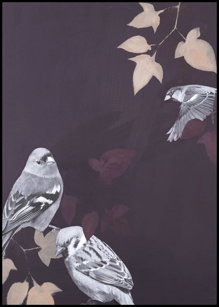 Bird1 | INDRAMMET BILLEDE Indrammet billede MF