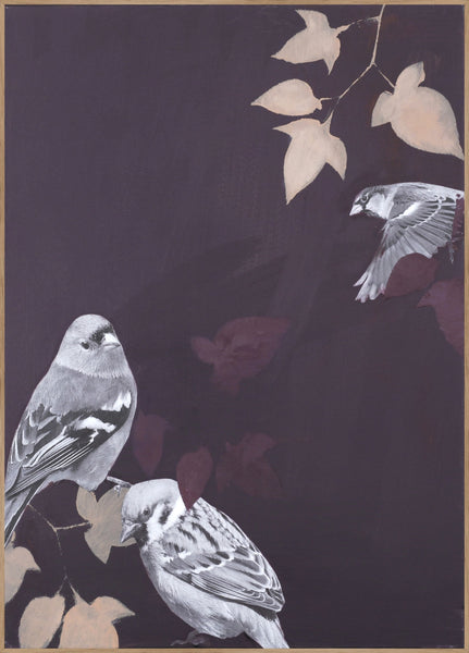 Bird1 | INDRAMMET BILLEDE Indrammet billede MF
