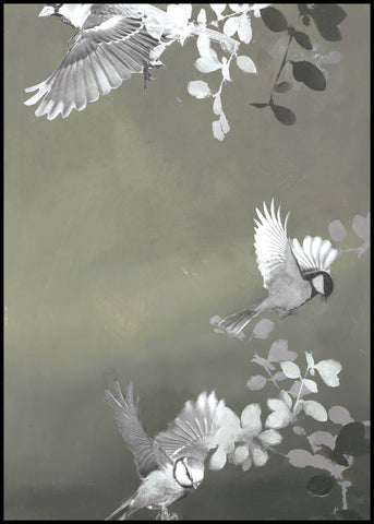 Bird4 | INDRAMMET BILLEDE Indrammet billede MF 30x40 Sort