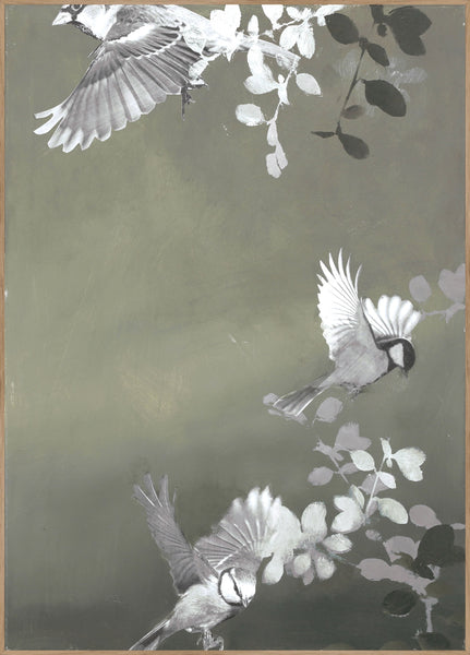 Bird4 | INDRAMMET BILLEDE Indrammet billede MF 30x40 Egeramme