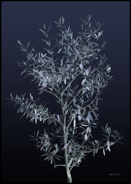Black Olive | INDRAMMET BILLEDE Indrammet billede MF 30x40 Sort