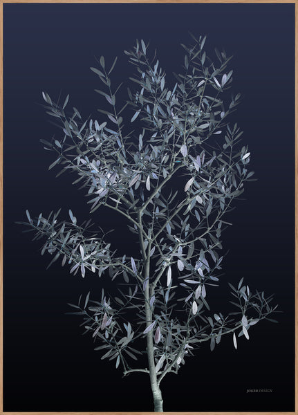 Black Olive | INDRAMMET BILLEDE Indrammet billede MF 30x40 Egeramme