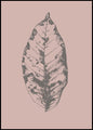 Botanica-1 | INDRAMMET BILLEDE