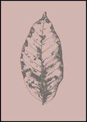 Botanica-1 | INDRAMMET BILLEDE Indrammet billede MF