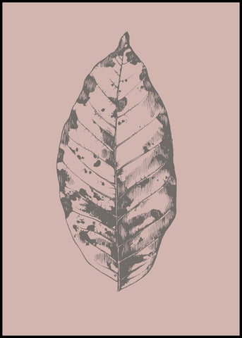 Botanica-1 | INDRAMMET BILLEDE Indrammet billede MF