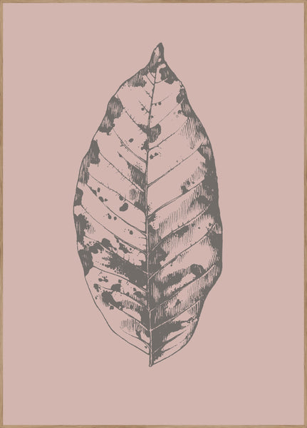 Botanica-1 | INDRAMMET BILLEDE Indrammet billede MF