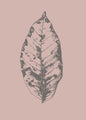 Botanica-1 | PLAKAT