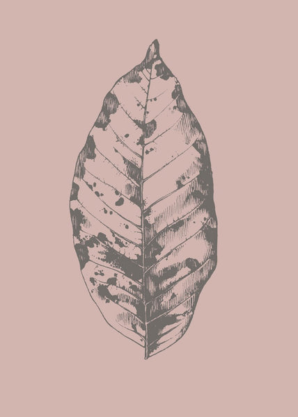 Botanica-1 | INDRAMMET BILLEDE Indrammet billede MF