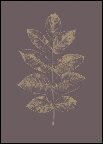 Botanica-2 | INDRAMMET BILLEDE Indrammet billede MF 30x40 Sort