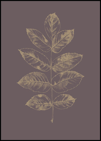 Botanica-2 | INDRAMMET BILLEDE Indrammet billede MF 30x40 Sort
