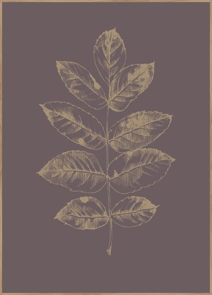 Botanica-2 | INDRAMMET BILLEDE Indrammet billede MF 30x40 Egeramme