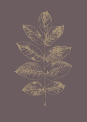 Botanica 2 | PLAKAT Plakat MF