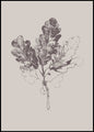 Botanica-3 | INDRAMMET BILLEDE
