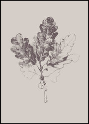 Botanica-3 | INDRAMMET BILLEDE Indrammet billede MF