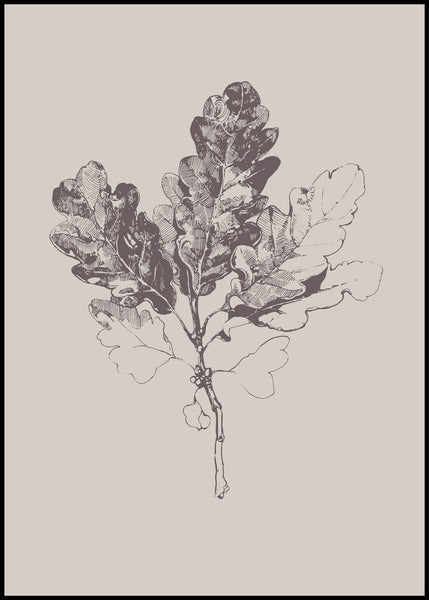 Botanica-3 | INDRAMMET BILLEDE Indrammet billede MF