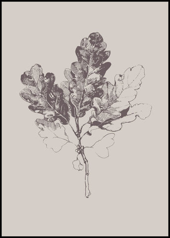 Botanica-3 | INDRAMMET BILLEDE Indrammet billede MF