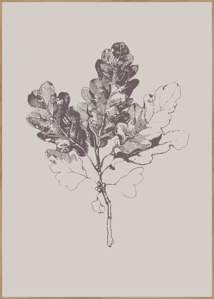 Botanica-3 | INDRAMMET BILLEDE Indrammet billede MF