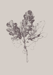 Botanica-3 | PLAKAT Plakat MF