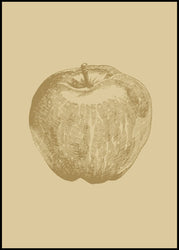 Botanica-4 | INDRAMMET BILLEDE Indrammet billede MF 30x40 Sort