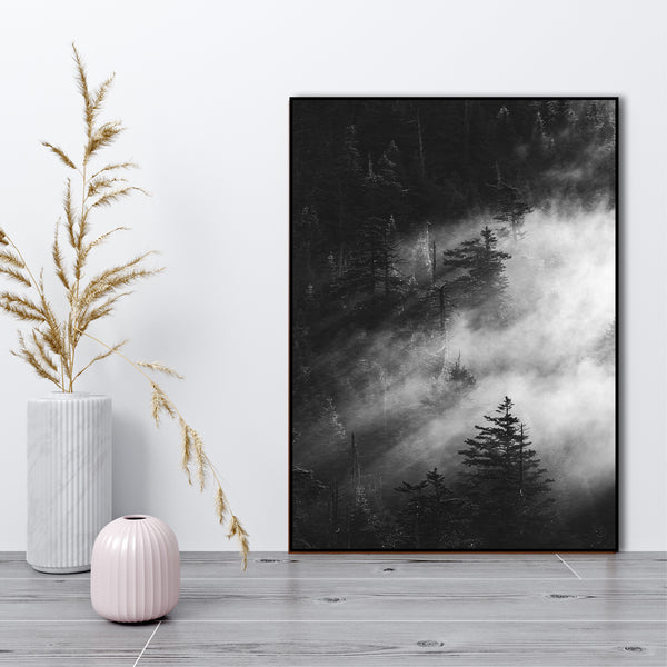 Misty pine woods | INDRAMMET BILLEDE Indrammet billede MF