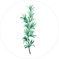 Green Plants 11 | CIRCLE ART