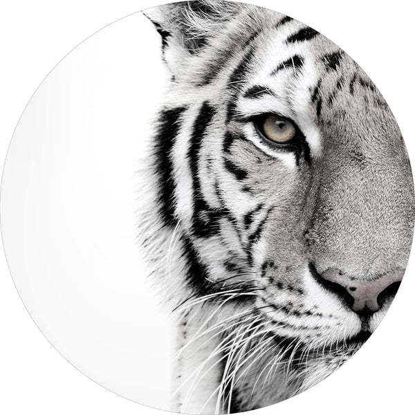 White tiger | CIRCLE ART Circle Art ART COPENHAGEN   