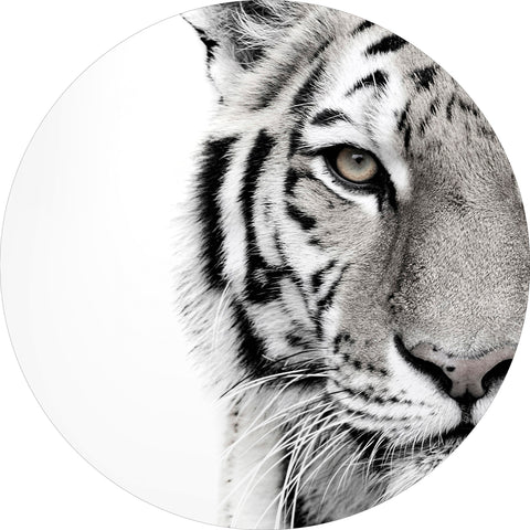 White tiger | CIRCLE ART Circle Art ART COPENHAGEN   