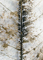 Close up | PLAKAT
