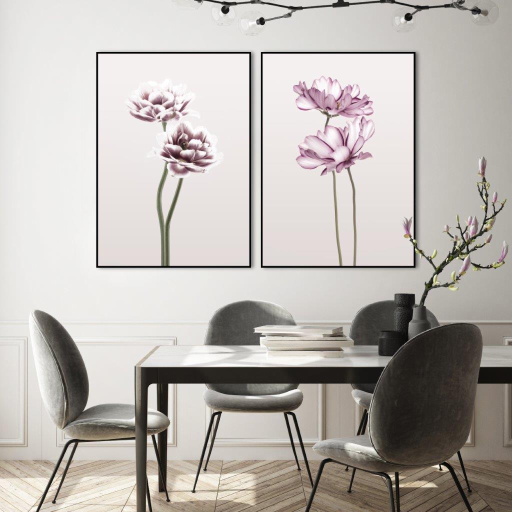 Cosmos 1 | INDRAMMET BILLEDE Indrammet billede MF 30x40 Sort