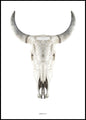 Cow skull | INDRAMMET BILLEDE