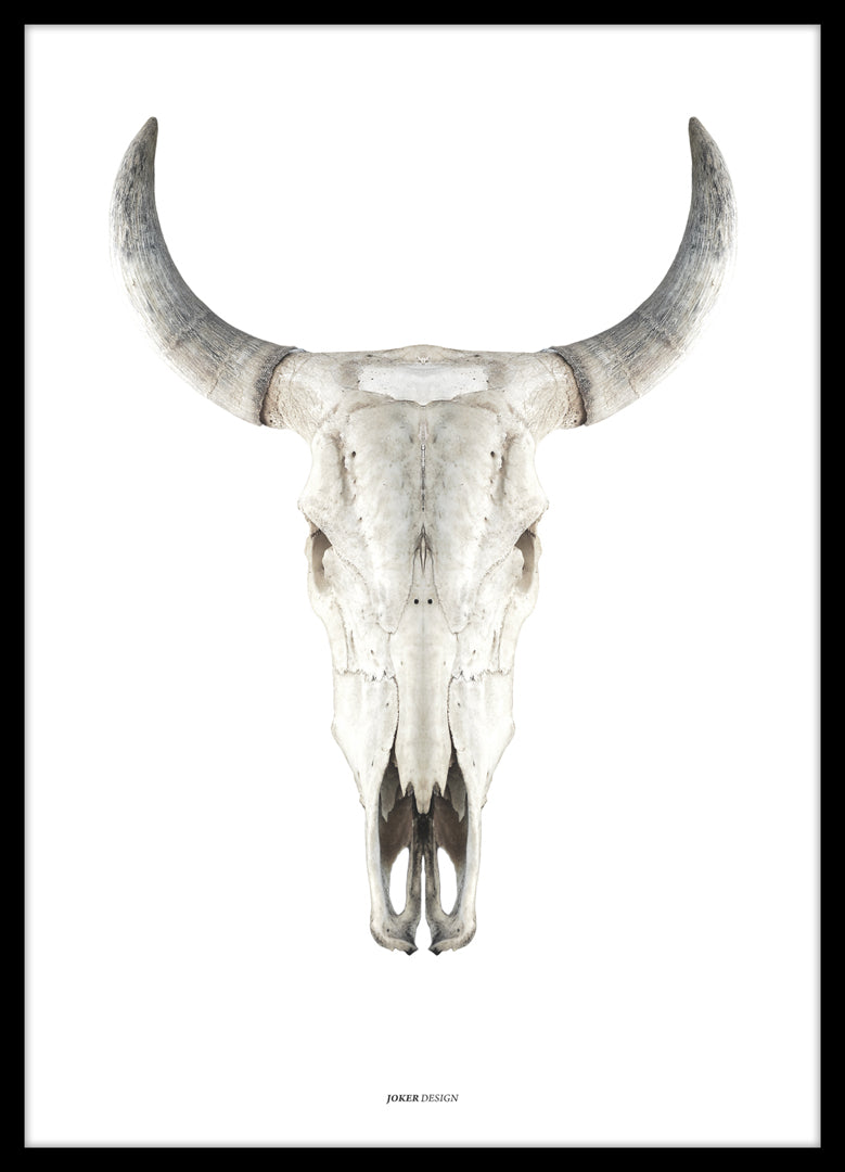 Cow skull | PLAKAT Outlet ART COPENHAGEN