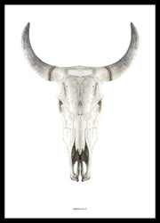 Cow skull | PLAKAT Outlet ART COPENHAGEN