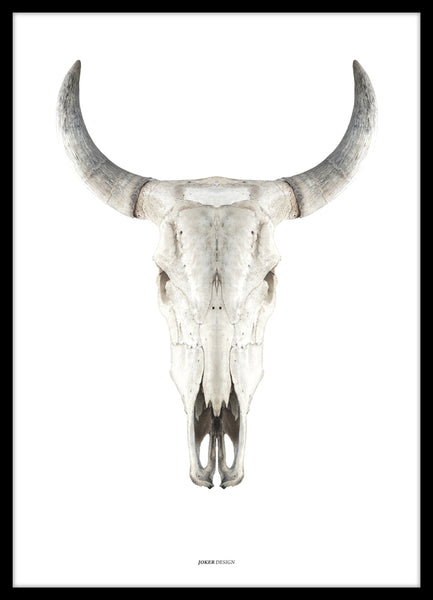 Cow skull | PLAKAT Outlet ART COPENHAGEN