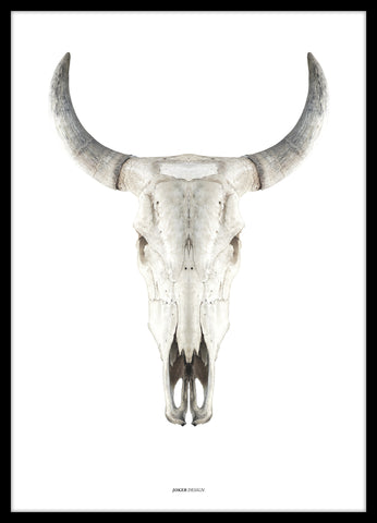 Cow skull | PLAKAT Outlet ART COPENHAGEN