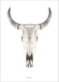 Cow Skull | PLAKAT