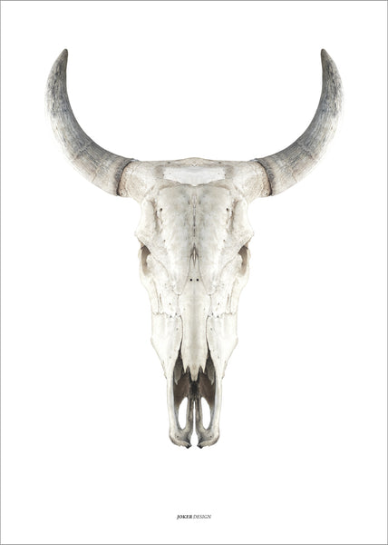 Cow Skull | PLAKAT Plakat MF
