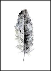 Cozy Feather 1 | INDRAMMET BILLEDE Indrammet billede MF 30x40 Sort