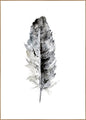 Cozy Feather 1 | INDRAMMET BILLEDE
