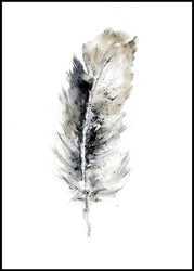 Cozy Feather 2 | INDRAMMET BILLEDE Indrammet billede MF 30x40 Sort