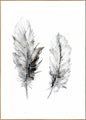 Cozy Feathers 3 | INDRAMMET BILLEDE