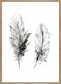 Cozy Feathers 3 | PLAKAT