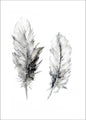 Cozy Feather 3 | PLAKAT