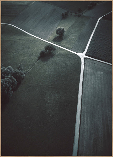 Crossroads | INDRAMMET BILLEDE Indrammet billede MF
