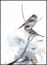 Curiosity 1 | INDRAMMET BILLEDE Indrammet billede MF 30x40 Sort