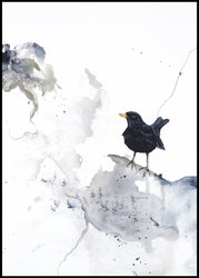 Curiosity 2 | INDRAMMET BILLEDE Indrammet billede MF 30x40 Sort