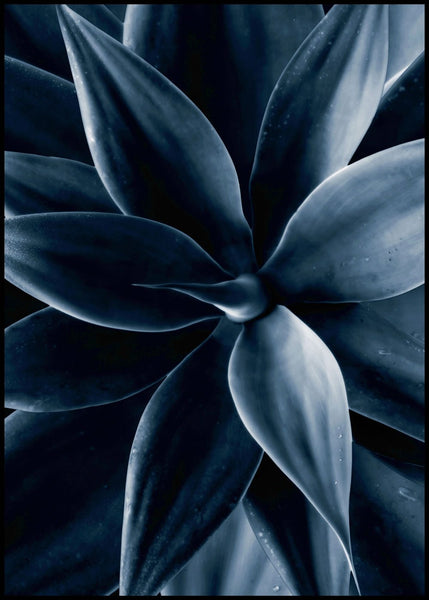 Dark plant 1 | INDRAMMET BILLEDE Indrammet billede MF