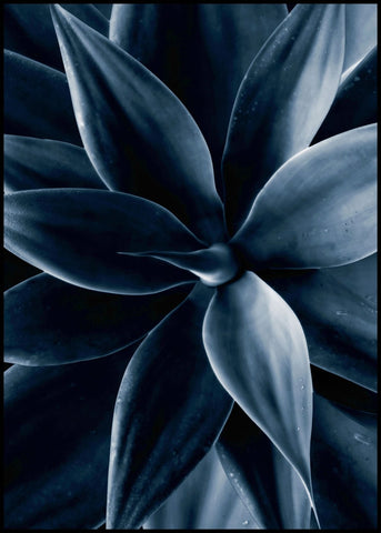 Dark plant 1 | INDRAMMET BILLEDE Indrammet billede MF